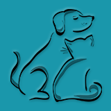 Devenir dog sitter